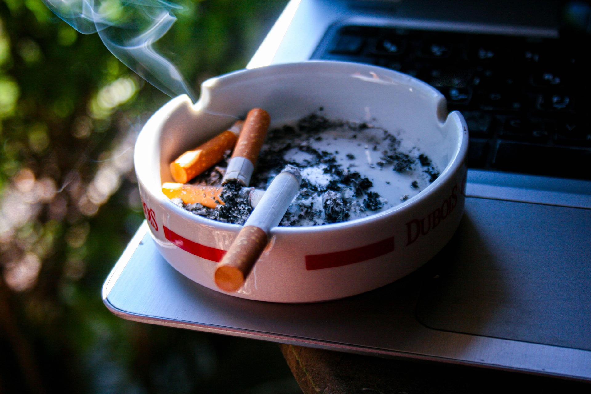 Hukum Rokok